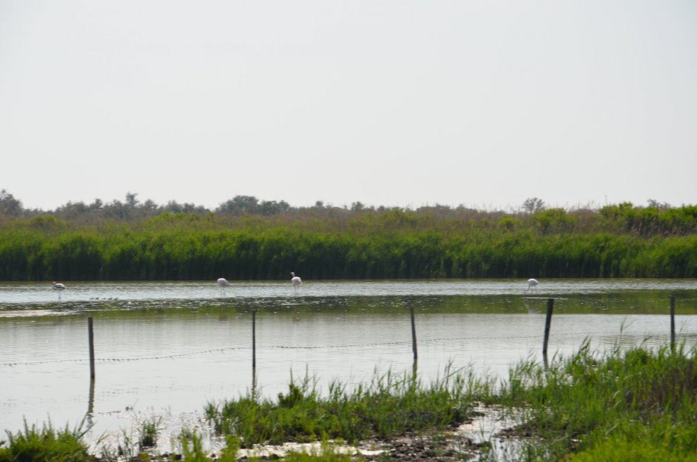 2AS  2019 г. часть 3 507.JPG