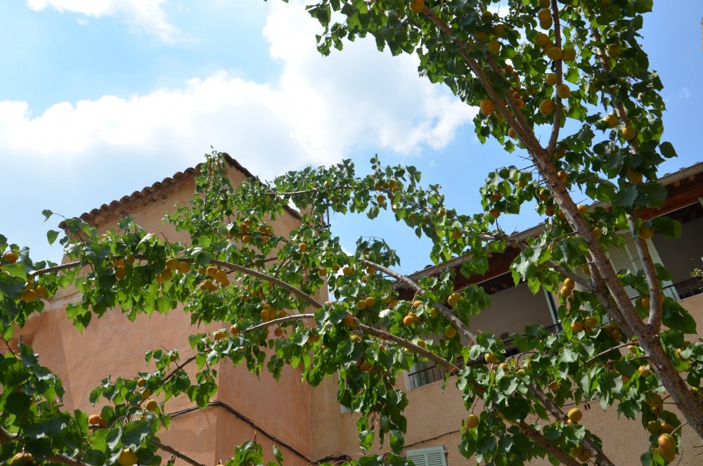 Тур  2AS  2019г. часть 4 221.JPG