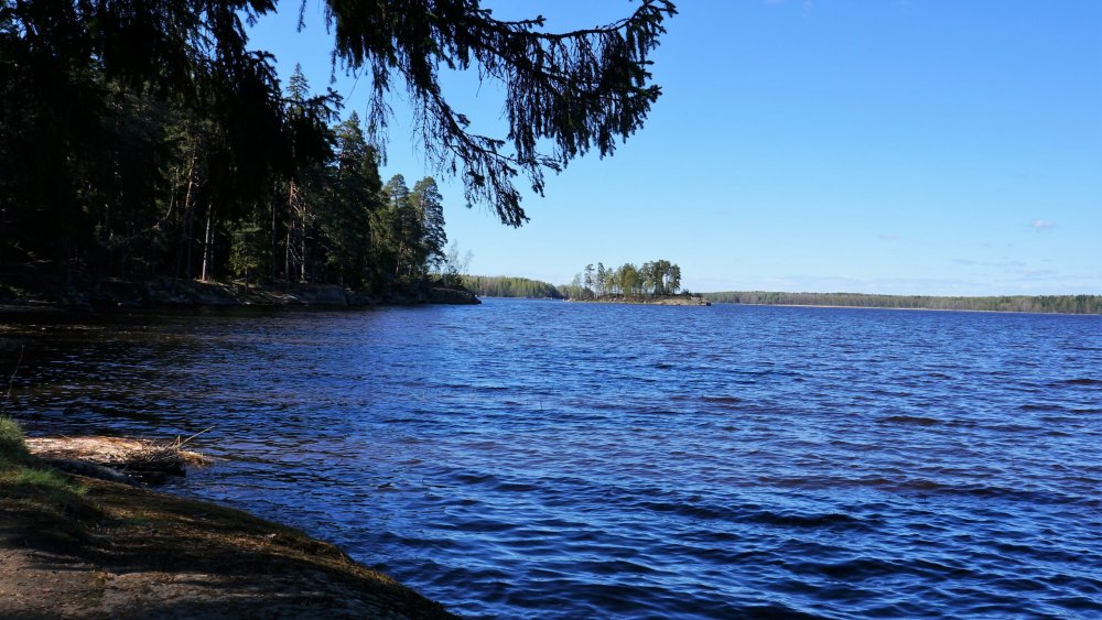 19.05.14_320_Выборг_парк Монрепо.JPG