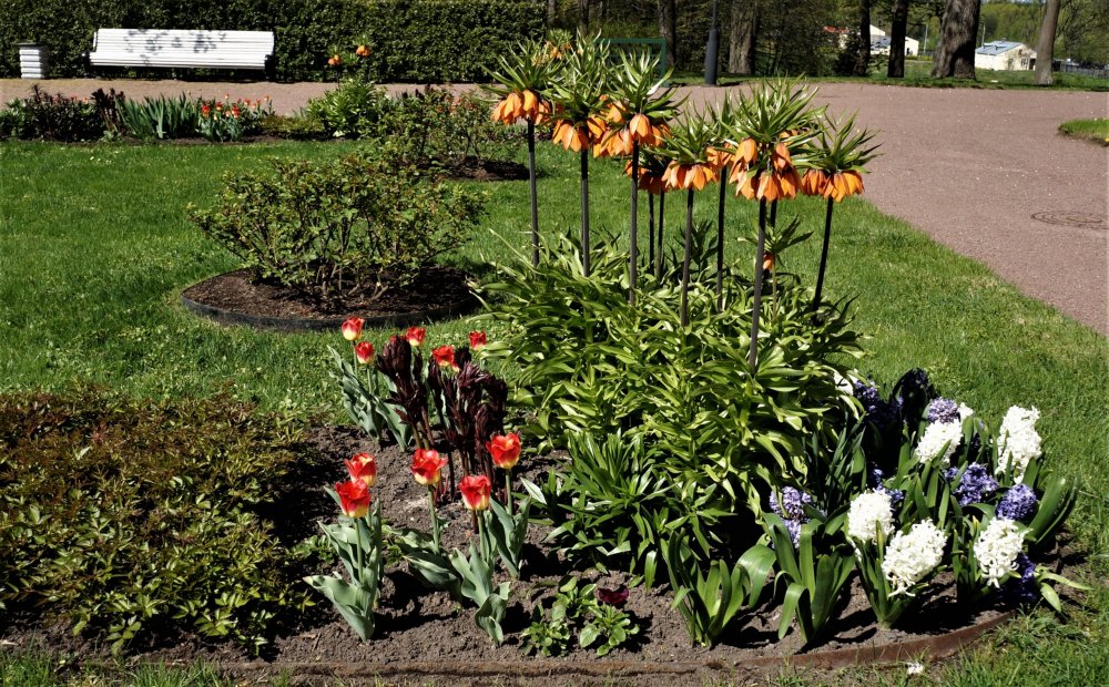 19.05.15_087_ Ораниенбаум.JPG