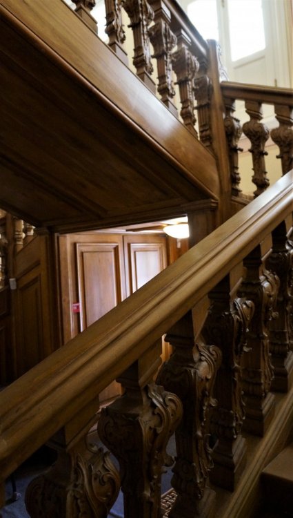 19.05.15_106_ Ораниенбаум_ Дворец.JPG