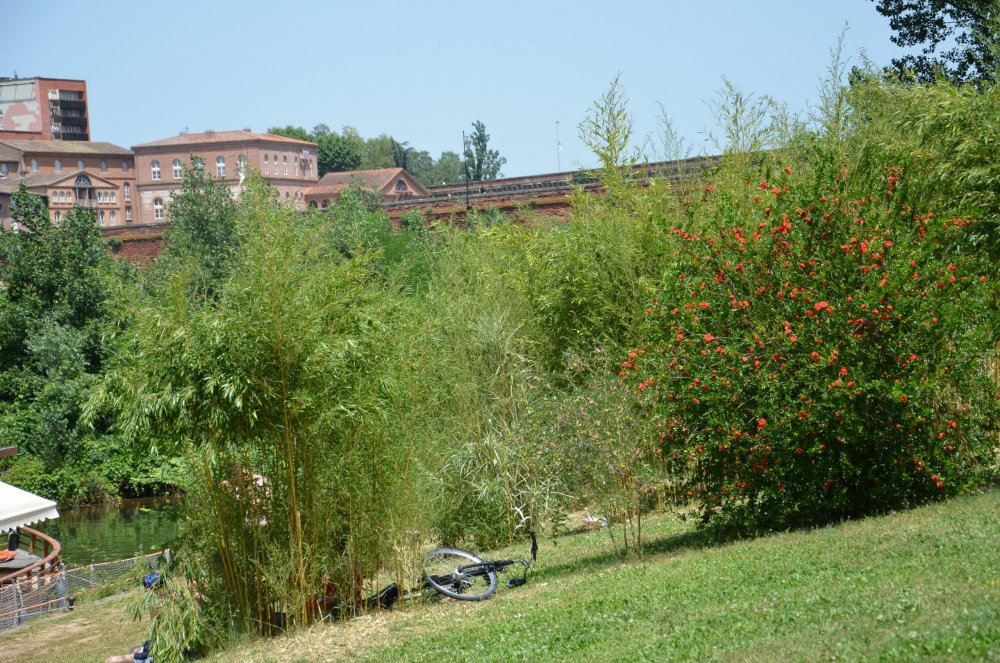 2 AS  2019г. часть 2 189.JPG