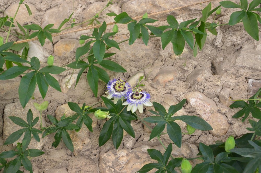 Тур 2AS 2019  часть 1 099.JPG