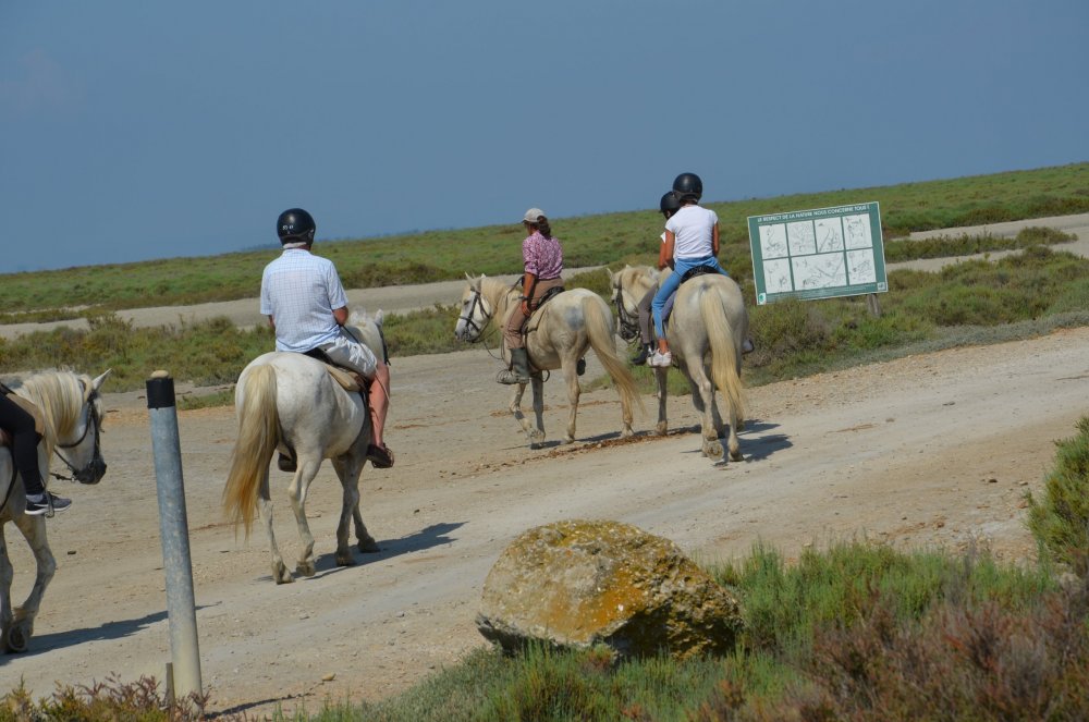 2AS  2019 г. часть 3 467.JPG