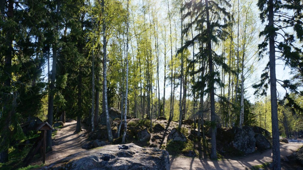 19.05.14_354_Выборг_парк Монрепо.JPG