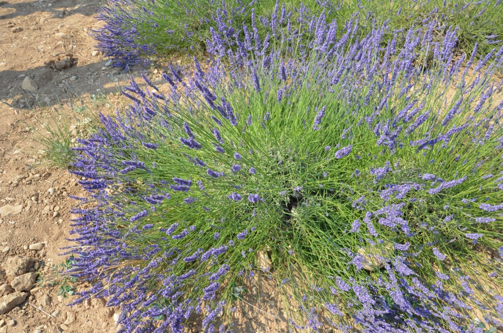 Тур  2AS  2019г. часть 4 110.JPG