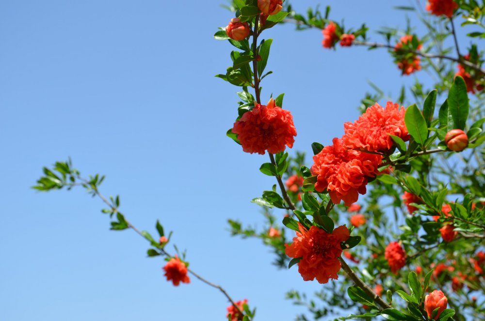 2 AS  2019г. часть 2 193.JPG