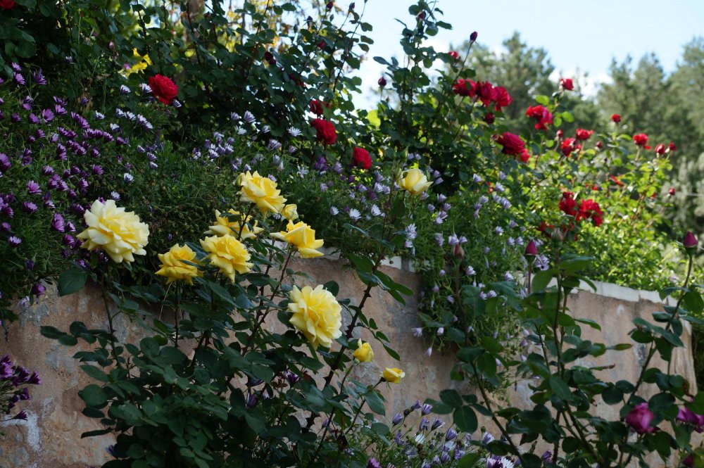 28_Женский мон-рь Агнудос(Греция)_055.JPG