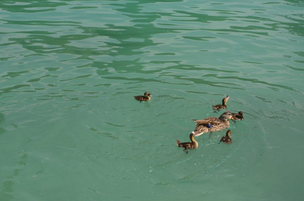 2AS  2019 г. часть 3 1101.JPG