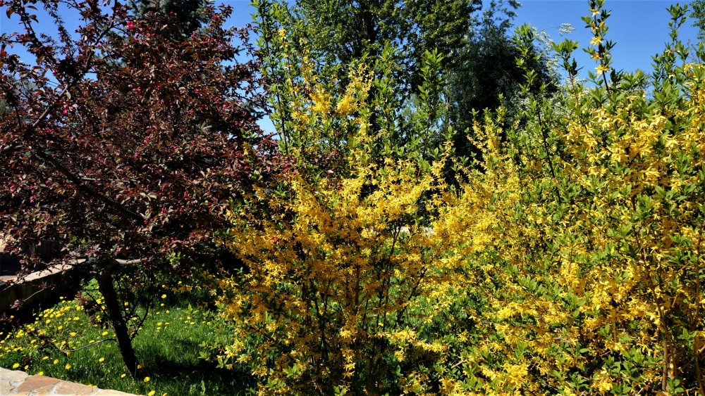 19.05.16_062_СПб_ Зоопарк.JPG