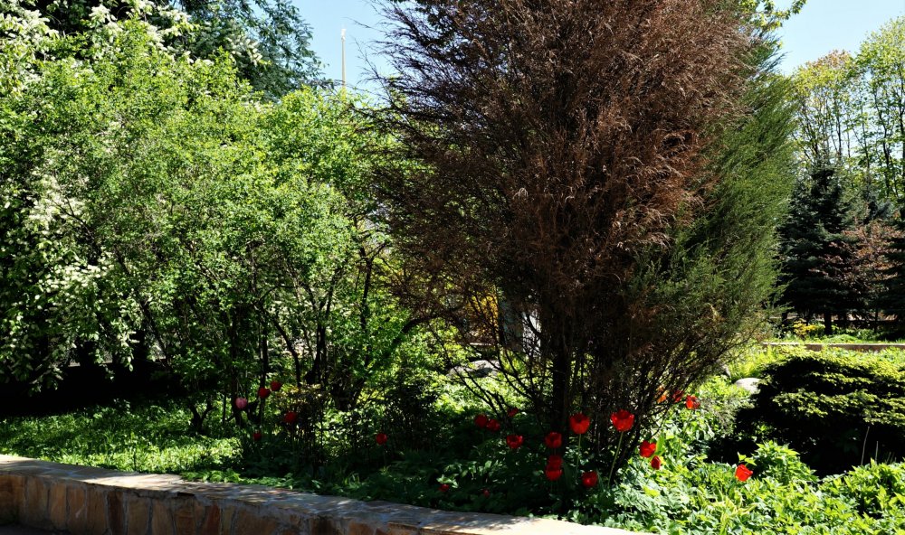 19.05.16_067_СПб_ Зоопарк.JPG