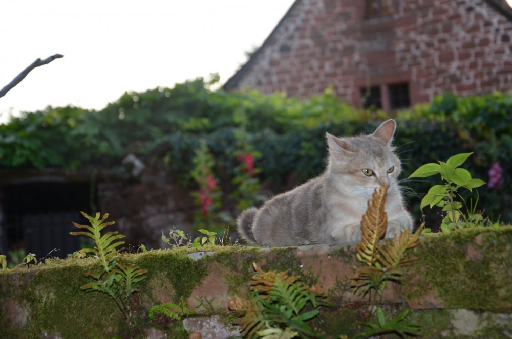 Тур 2AS 2019  часть 1 462.JPG