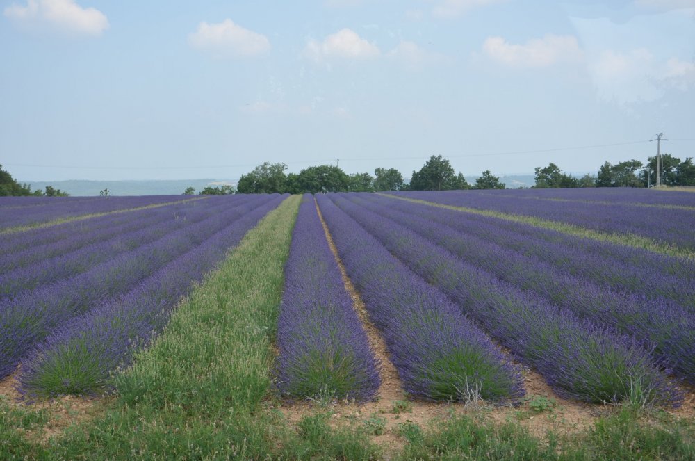 Тур  2AS  2019г. часть 4 136.JPG