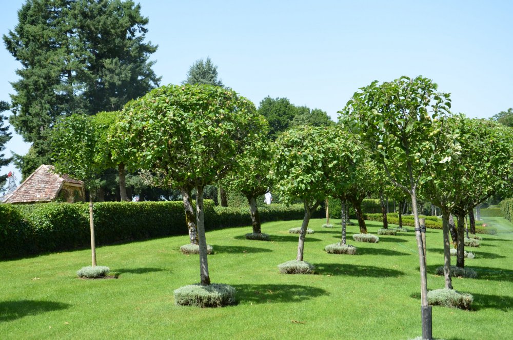 Тур 2AS 2019  часть 1 659.JPG