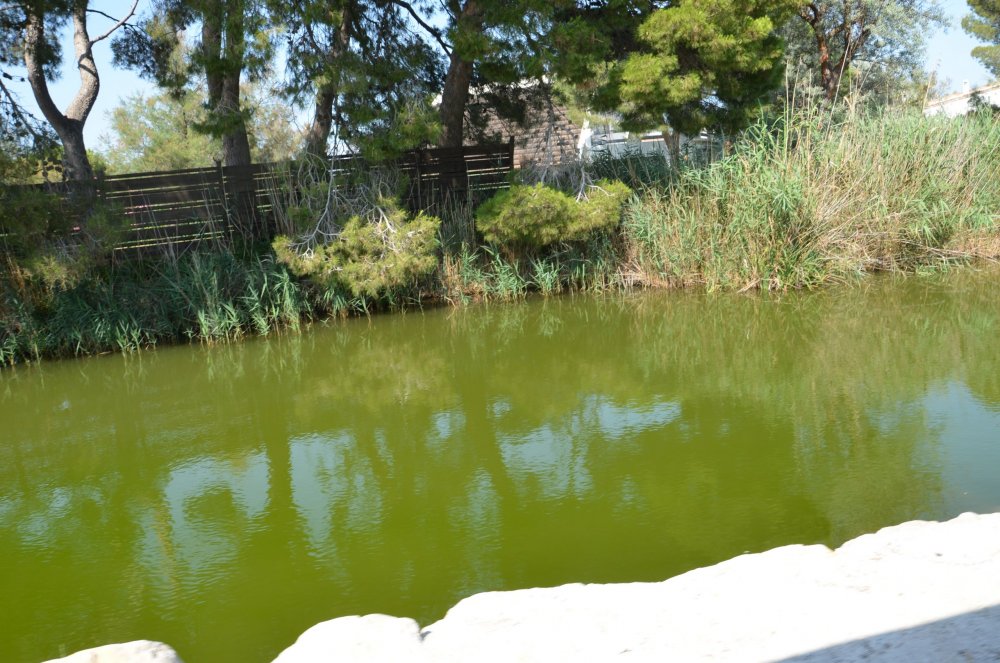 2AS  2019 г. часть 3 521.JPG