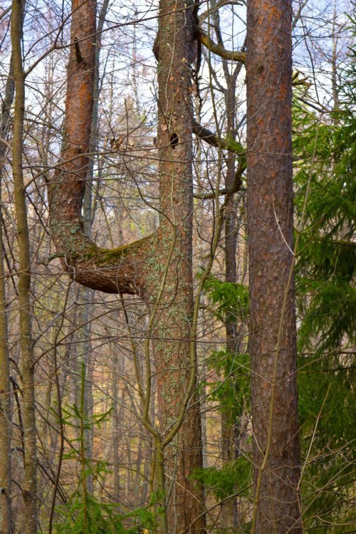 IMG_6996 Марий Чодра.jpg