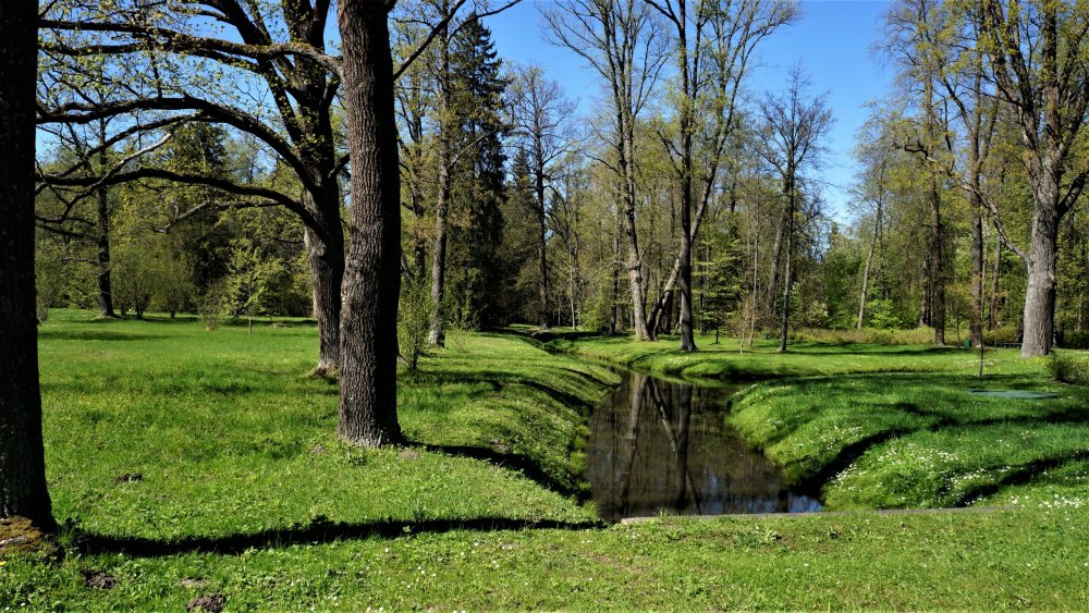 19.05.15_291_ Ораниенбаум.JPG