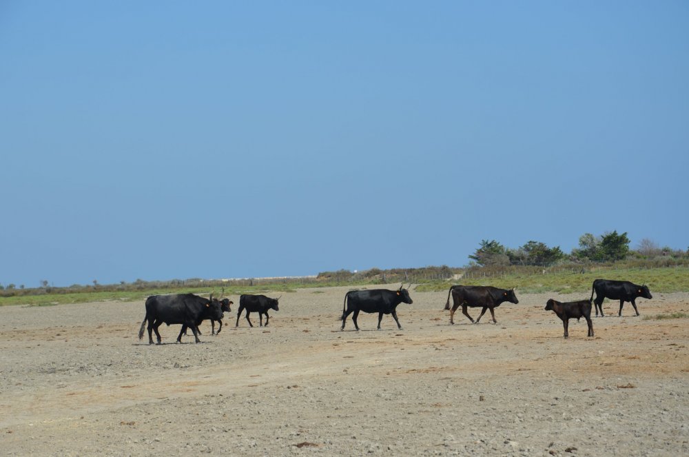 2AS  2019 г. часть 3 470.JPG