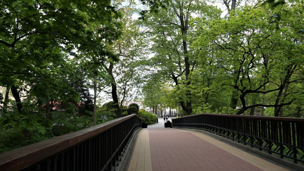 19.05.08_022_ Калининград_ зоопарк.JPG