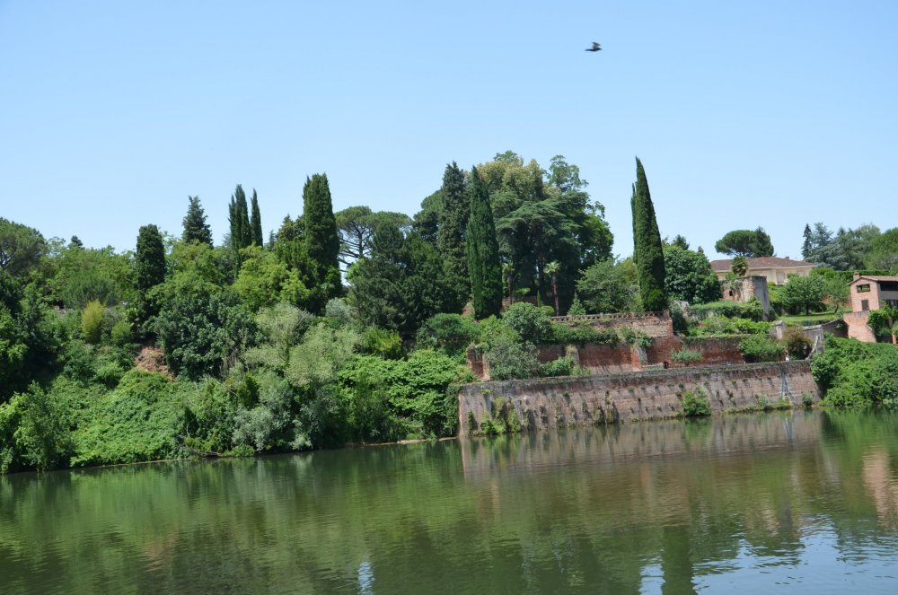 2 AS  2019г. часть 2 188.JPG