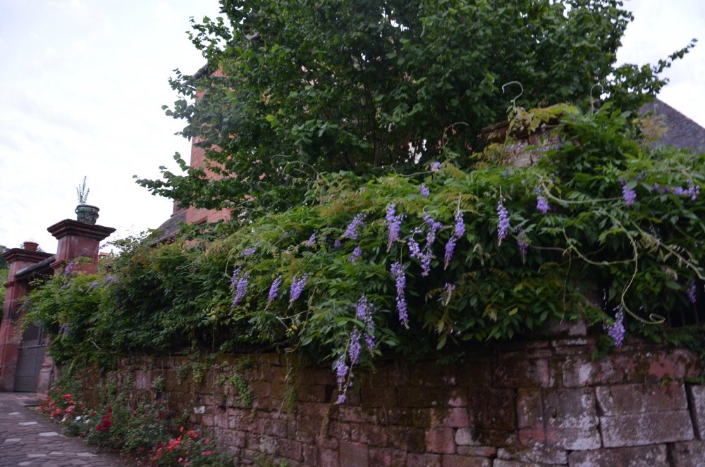 Тур 2AS 2019  часть 1 521.JPG