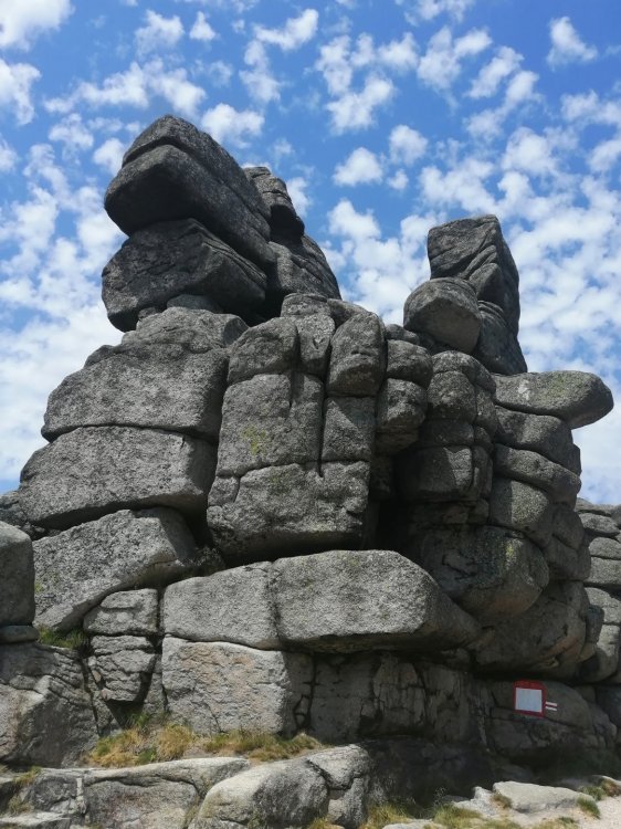 IMG_20190701_113949-002 — копия.jpg