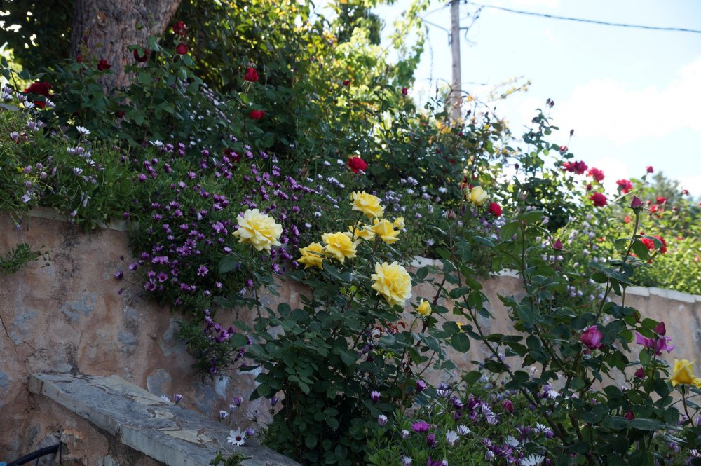 28_Женский мон-рь Агнудос(Греция)_005.JPG