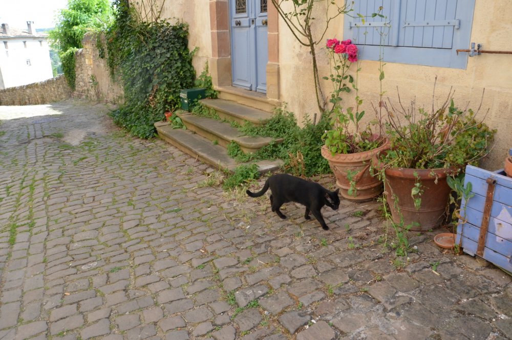 2 AS  2019г. часть 2 080.JPG