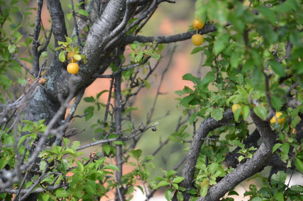 2 AS  2019г. часть 2 569.JPG