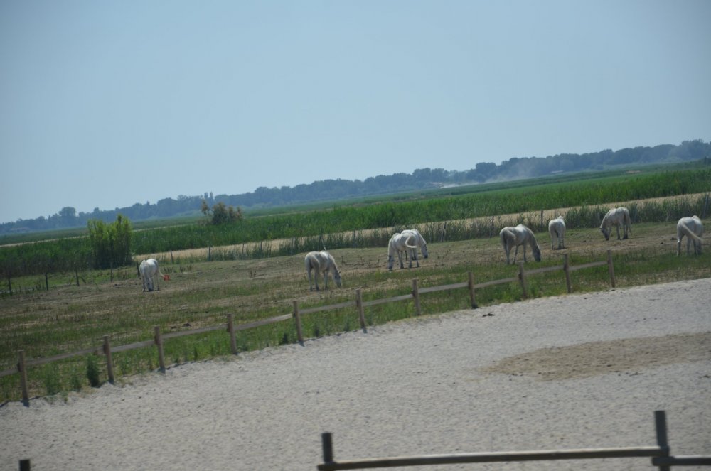 2AS  2019 г. часть 3 437.JPG