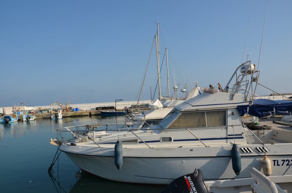 2AS  2019 г. часть 3 533.JPG