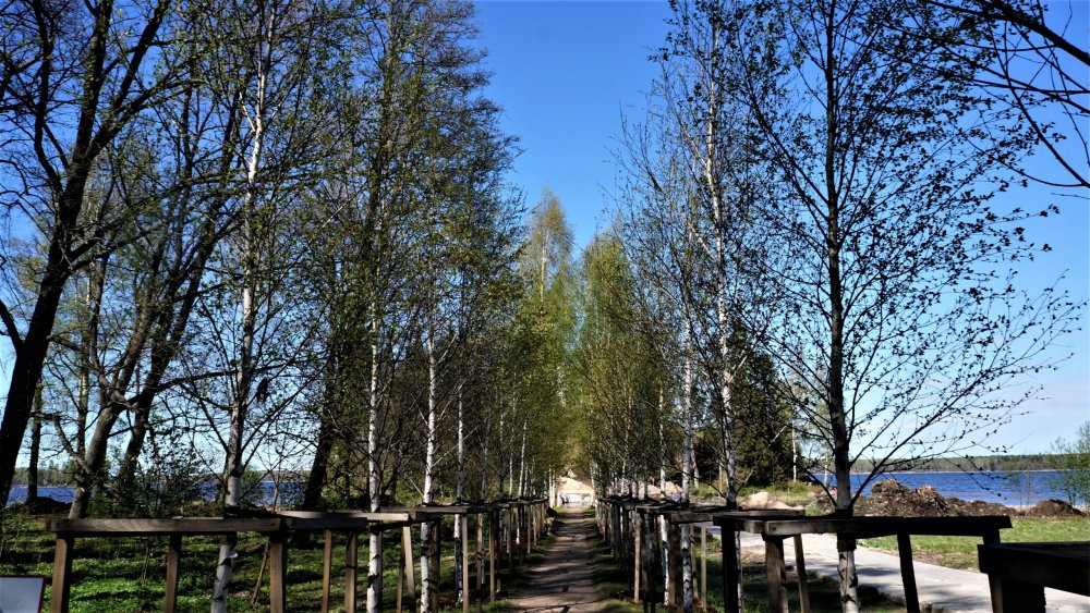 19.05.14_299_Выборг_парк Монрепо.JPG