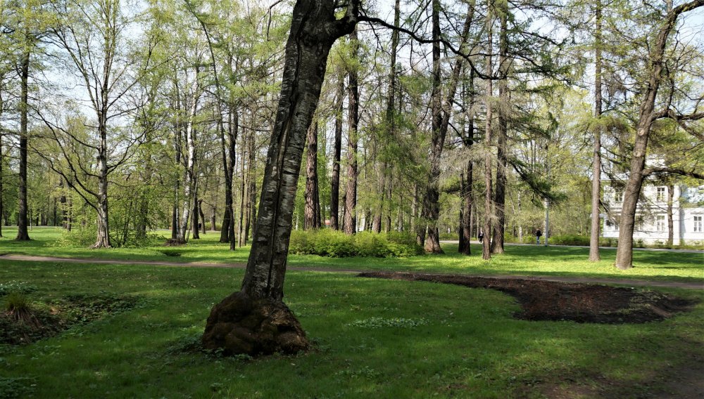 19.05.10_178_СПб_Елагин остров.JPG