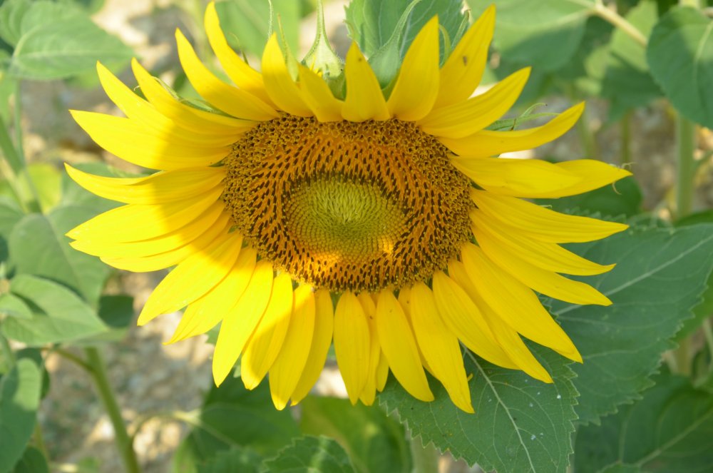 Тур  2AS  2019г. часть 4 041.JPG