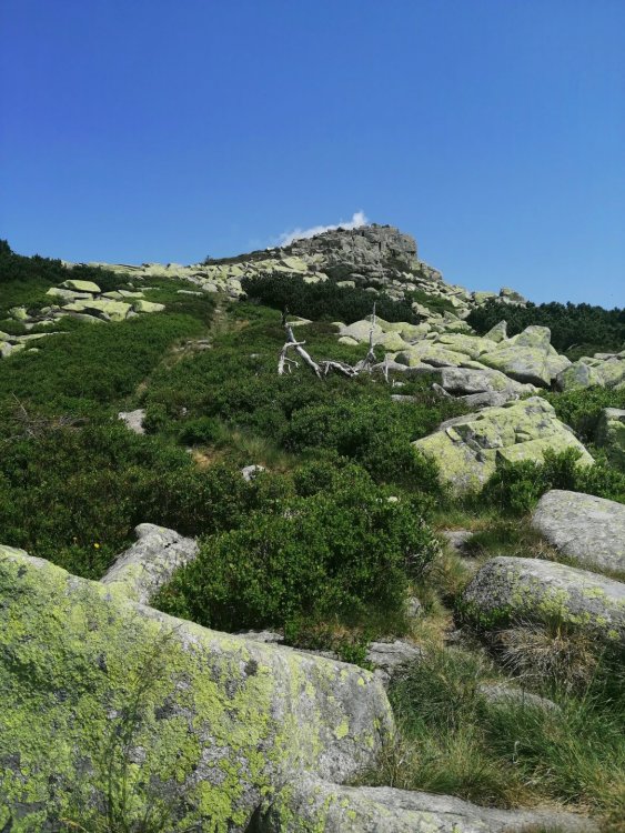 IMG_20190701_121955-001 — копия.jpg