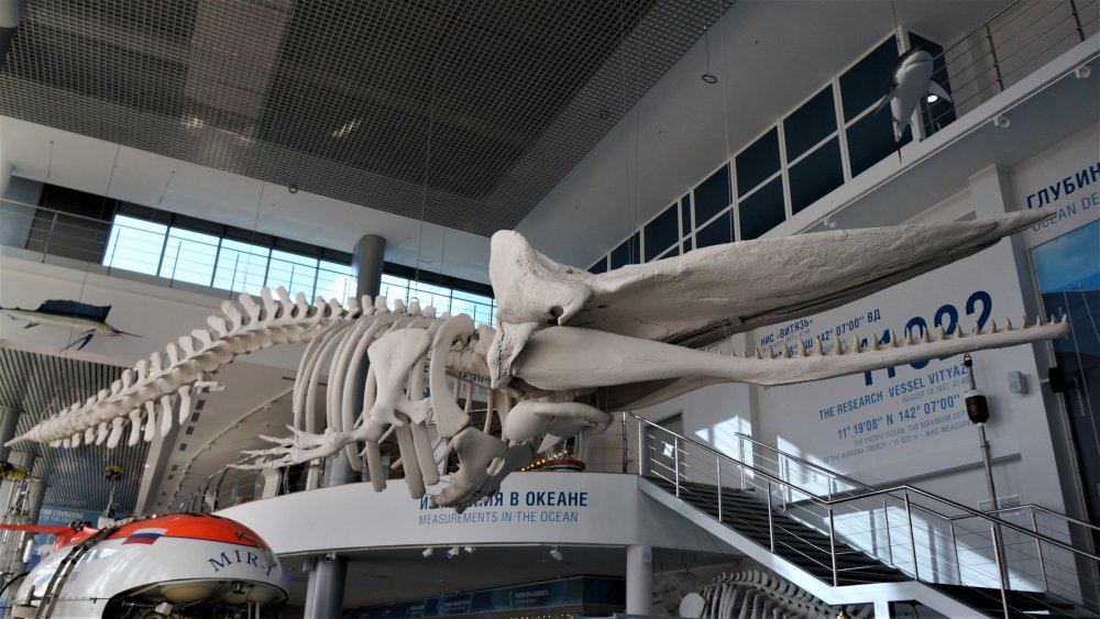 19.05.08_144_ Калининград_ Глубина_музей Мирового океана.JPG