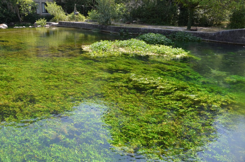 2AS  2019 г. часть 3 713.JPG