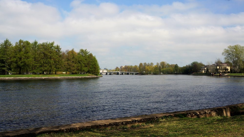 19.05.10_152_СПб_Елагин остров.JPG