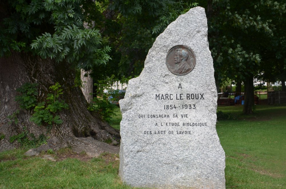 2AS  2019 г. часть 3 1215.JPG