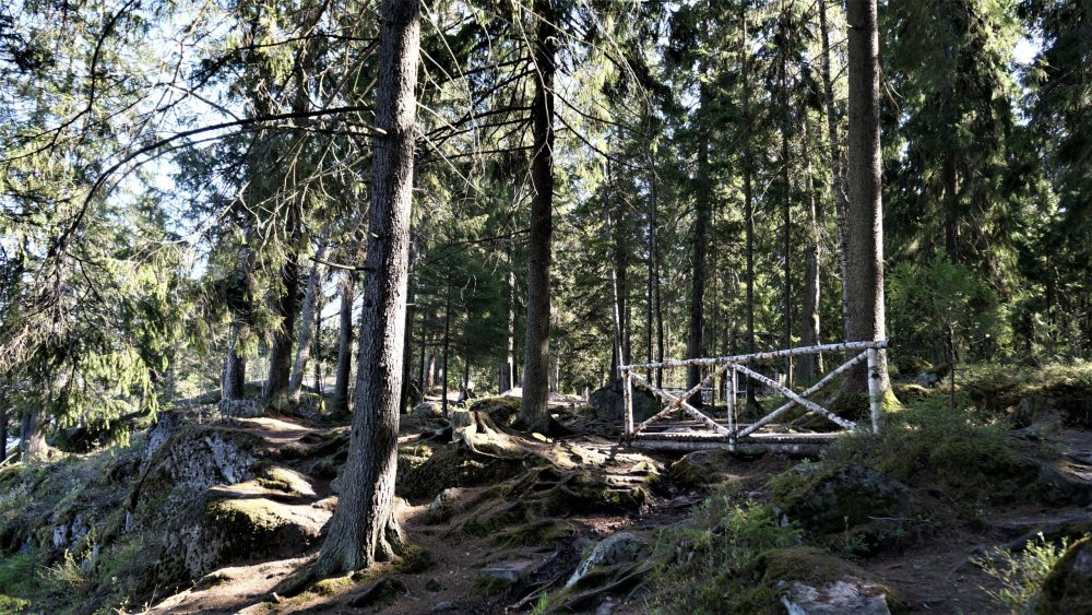 19.05.14_328_Выборг_парк Монрепо.JPG