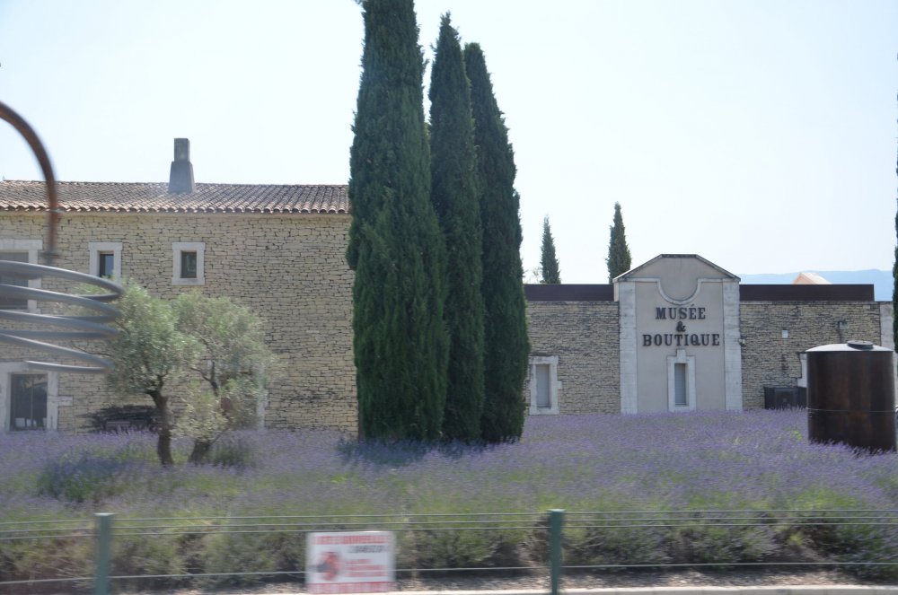 2 AS  2019г. часть 2 432.JPG