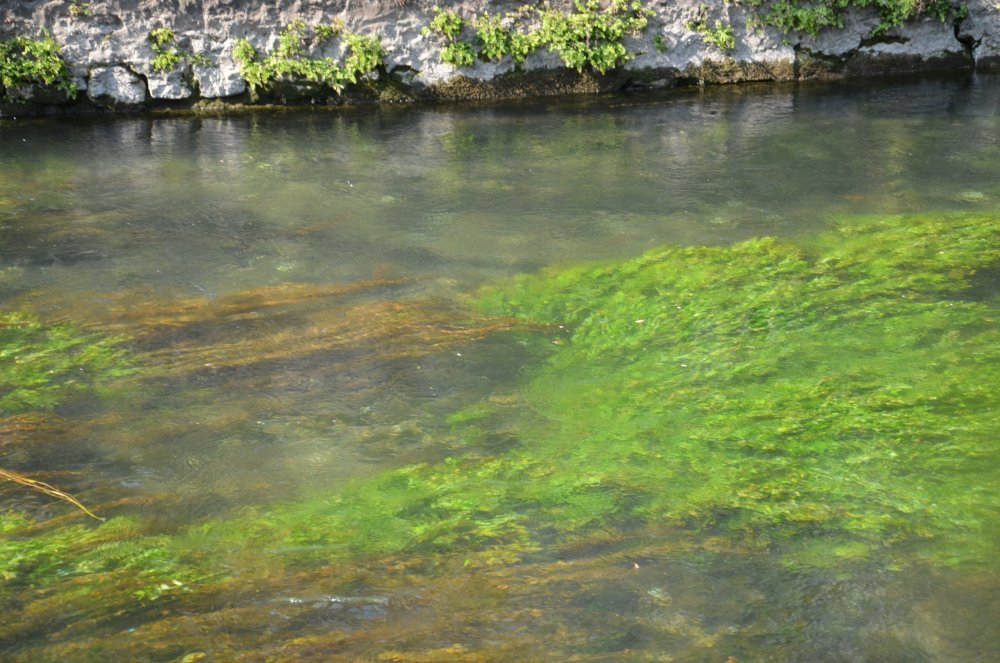 2AS  2019 г. часть 3 591.JPG