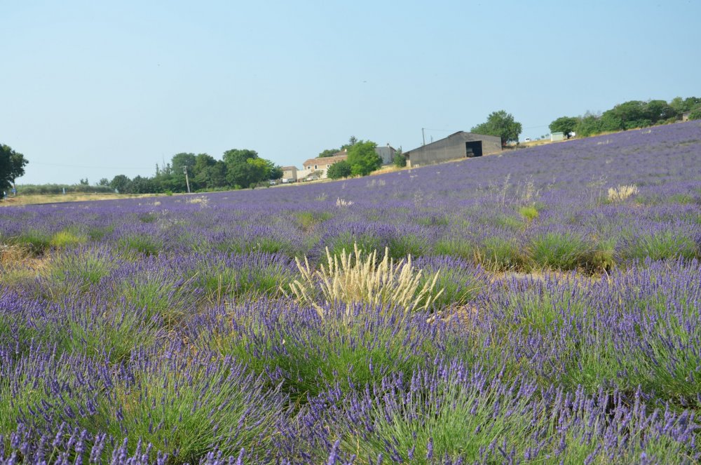 Тур  2AS  2019г. часть 4 037.JPG