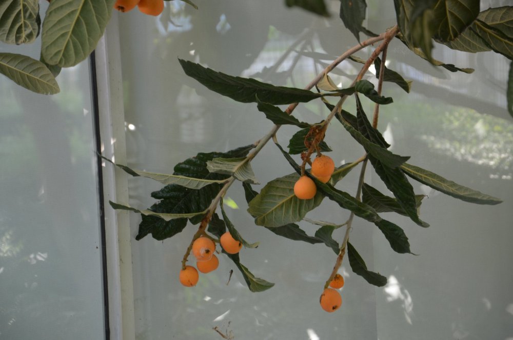 2AS  2019 г. часть 3 1041.JPG