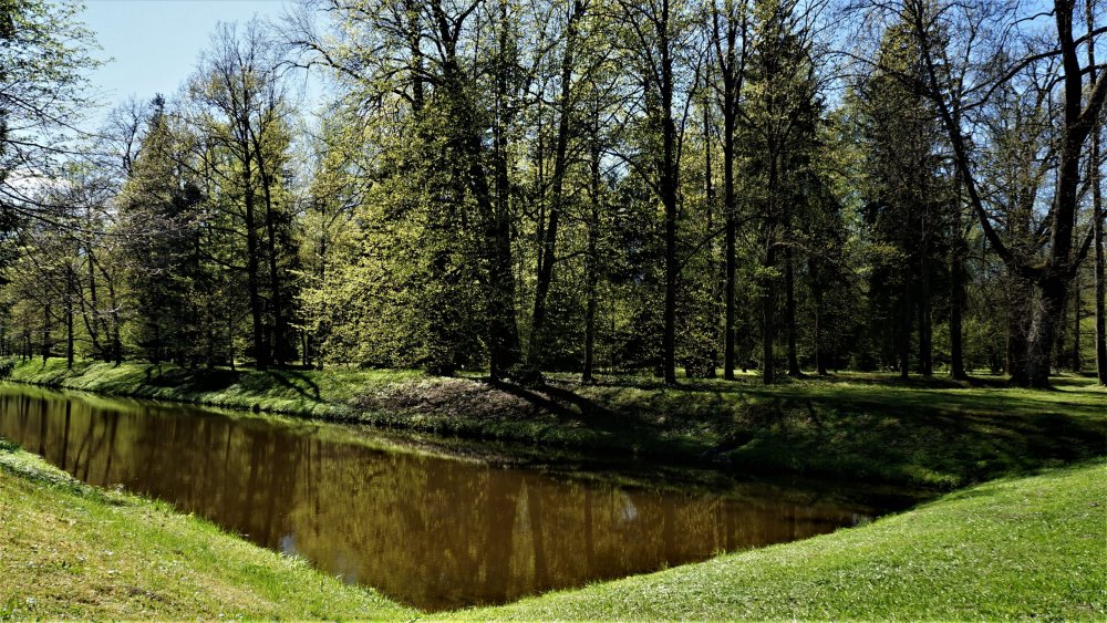 19.05.15_067_ Ораниенбаум.JPG