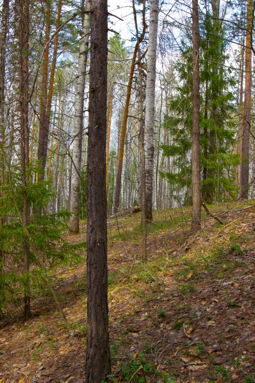 IMG_6946-1 Марий Чодра.jpg