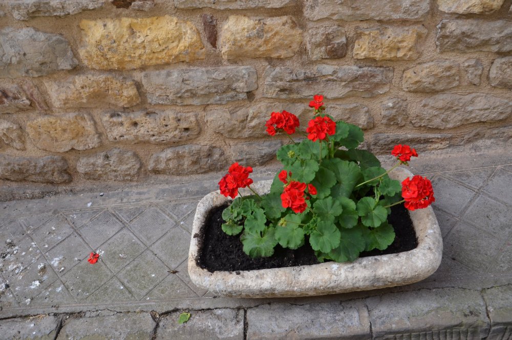 2 AS  2019г. часть 2 009.JPG