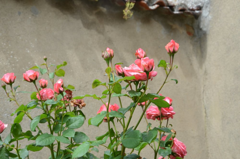 Тур 2AS 2019  часть 1 130.JPG