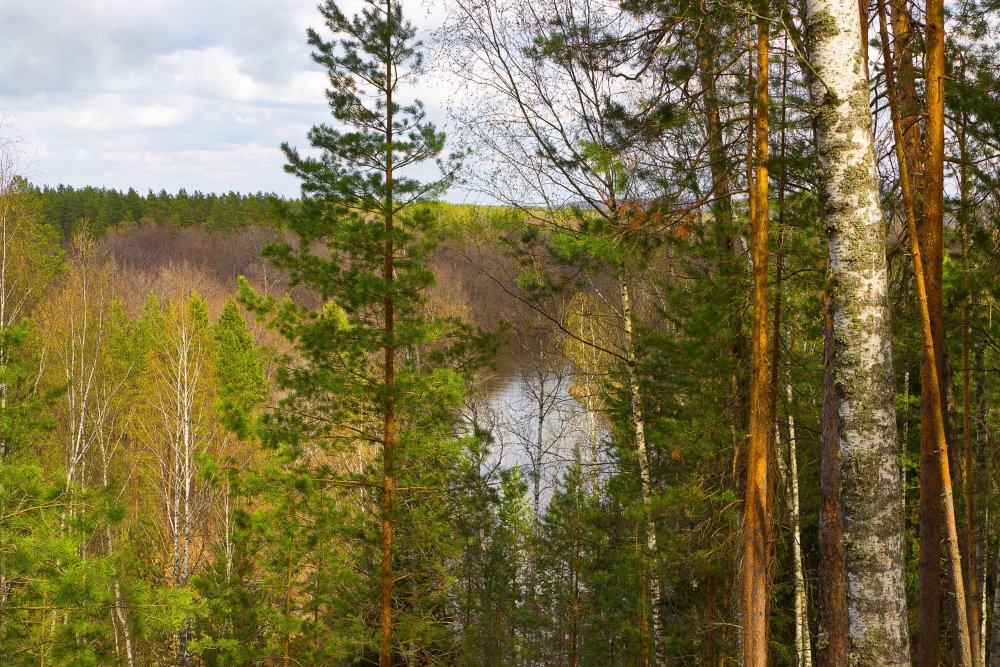 IMG_6978-1 Марий Чодра.jpg