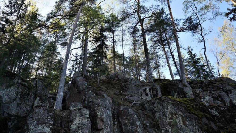 19.05.14_335_Выборг_парк Монрепо.JPG